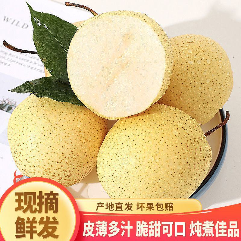 冰糖雪梨【一件代发】对接电商/微商/直播平台/产地直供