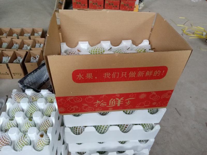 冰糖雪梨【一件代发】对接电商/微商/直播平台/产地直供