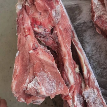 猪骨多肉猪尾骨