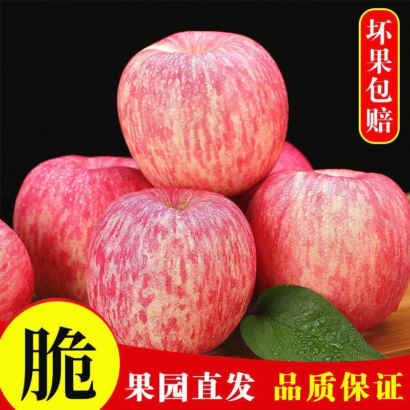 红富士【一件代发】对接电商/微商/直播平台/产地直供