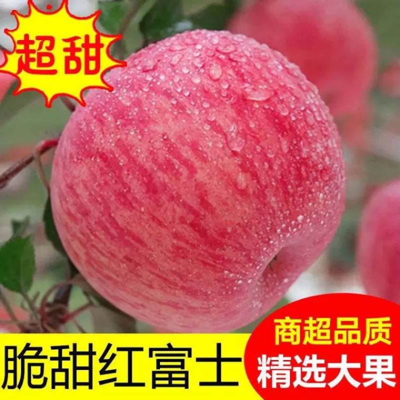 红富士【一件代发】对接电商/微商/直播平台/产地直供