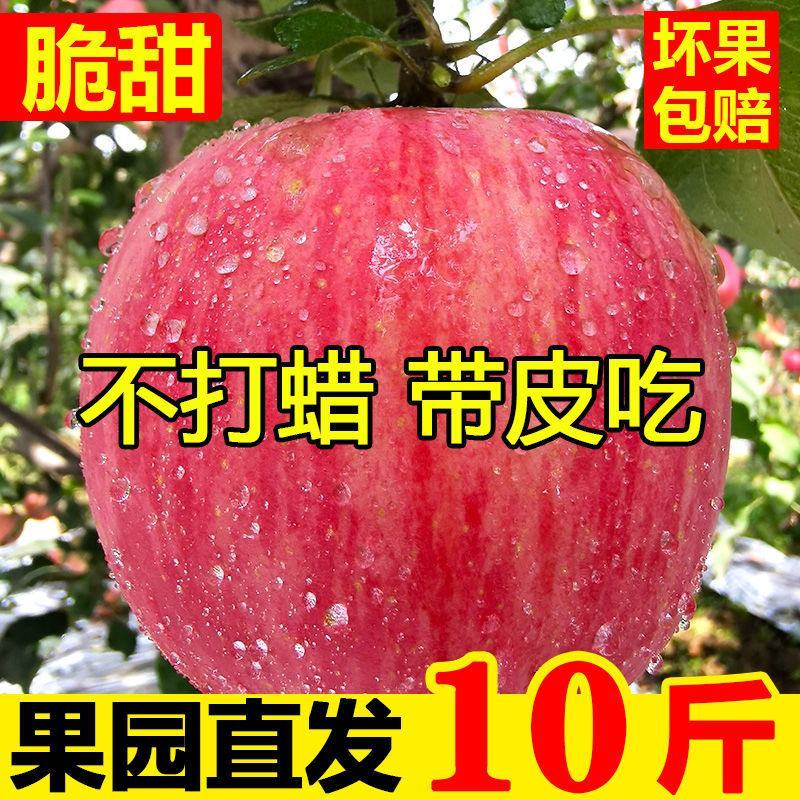 红富士【一件代发】对接电商/微商/直播平台/产地直供