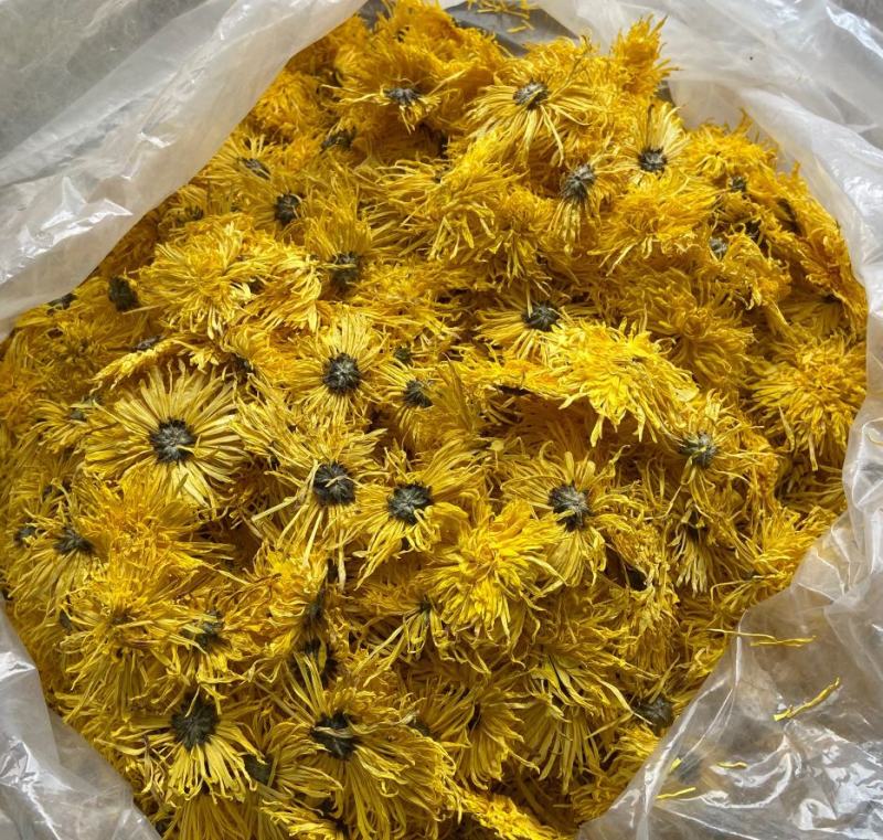 金丝黄菊花茶新货自产自销