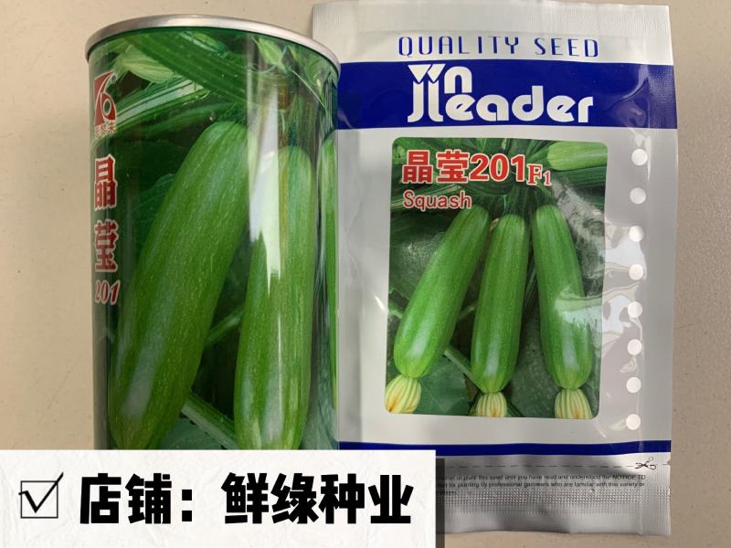 晶莹秀玉杂交一代早熟西葫芦，适应性广，浅绿瓜条顺直