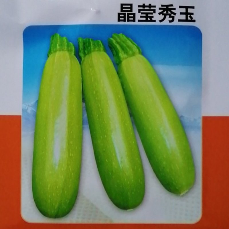 晶莹秀玉杂交一代早熟西葫芦，适应性广，浅绿瓜条顺直