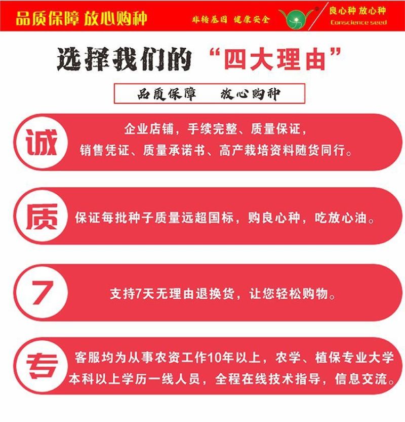 航天水稻种子抗性强米质优长粒香杂交水稻种子高产稻谷种国色