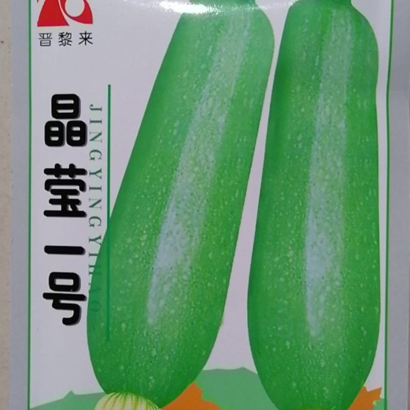 晶莹一号早熟瓜条顺直皮色浅绿座瓜能力优质
