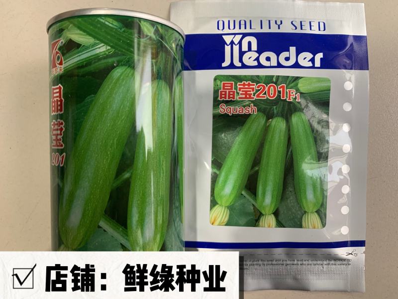 晶莹一号早熟瓜条顺直皮色浅绿座瓜能力优质