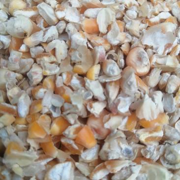 碎玉米玉米下脚料碎小麦大豆胚芽粉开胃宝等饲料