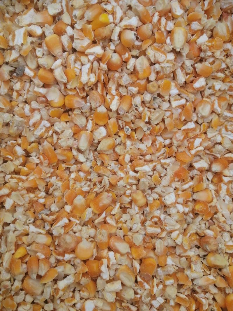 碎玉米玉米下脚料碎小麦大豆胚芽粉开胃宝等饲料