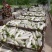 500亩基地精品白萝卜