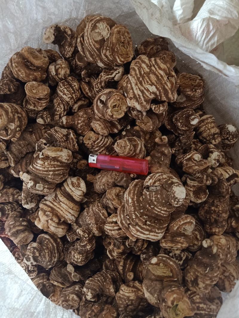 重楼干货，常年有货。产地四川雅安市石棉县草科乡产地直发