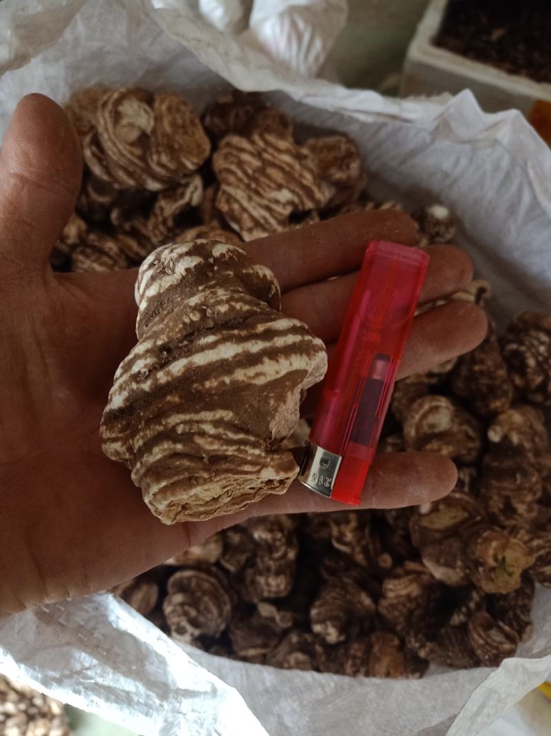 重楼干货，常年有货。产地四川雅安市石棉县草科乡产地直发