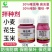 小麦包衣剂剂根腐病飞虱蚜虫花生玉米大蒜小麦拌种剂防虫防病
