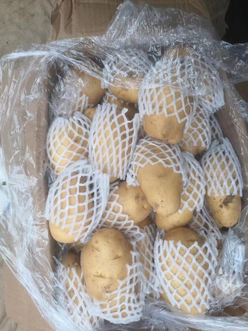 【土豆】山东精选土豆品种齐全量大从优物美价廉欢迎采购