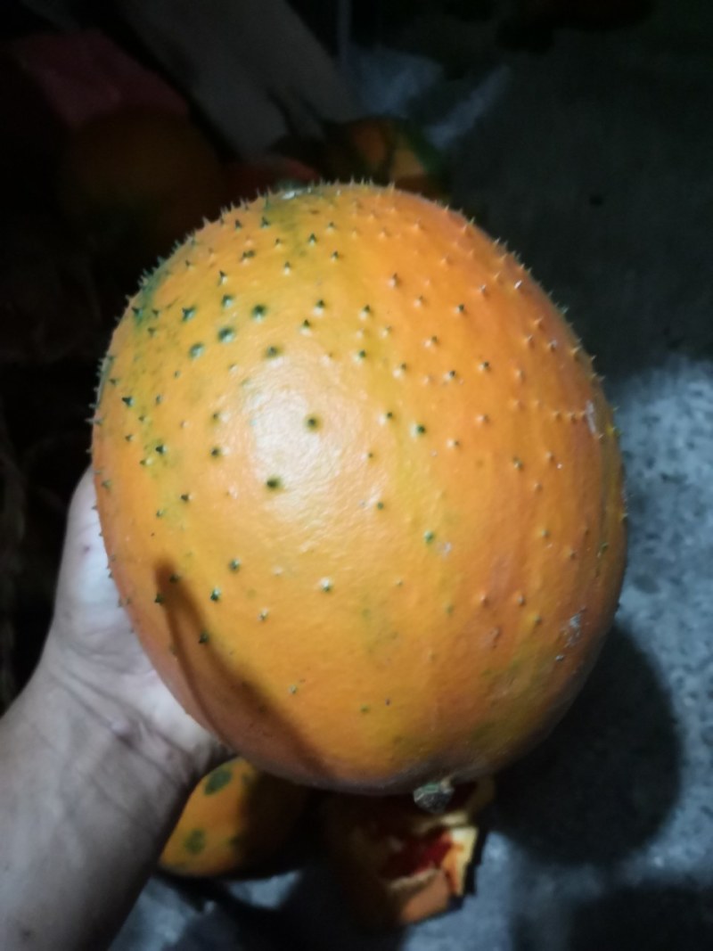 木鳖果