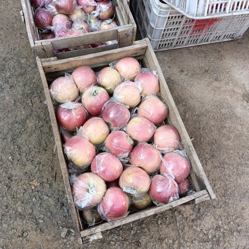 【精品红富士苹果】安徽苹果货源充足现货供应批发