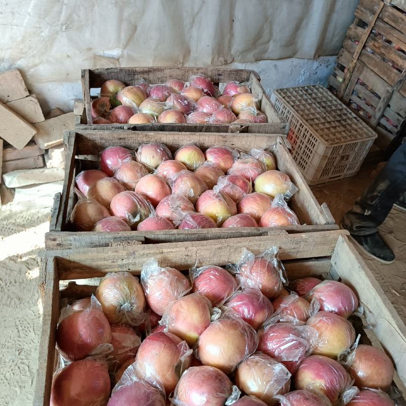【精品红富士苹果】安徽苹果货源充足现货供应批发