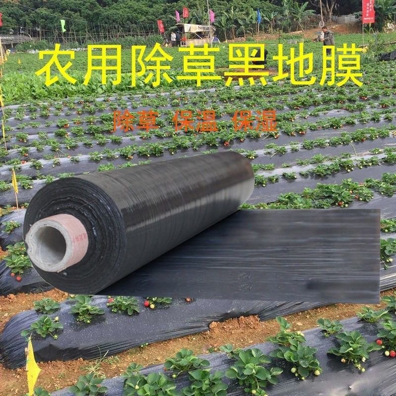 黑地膜农用黑膜白膜果园除草膜保温保湿蔬菜塑料薄膜种植加厚