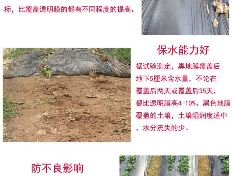 黑地膜农用黑膜白膜果园除草膜保温保湿蔬菜塑料薄膜种植加厚