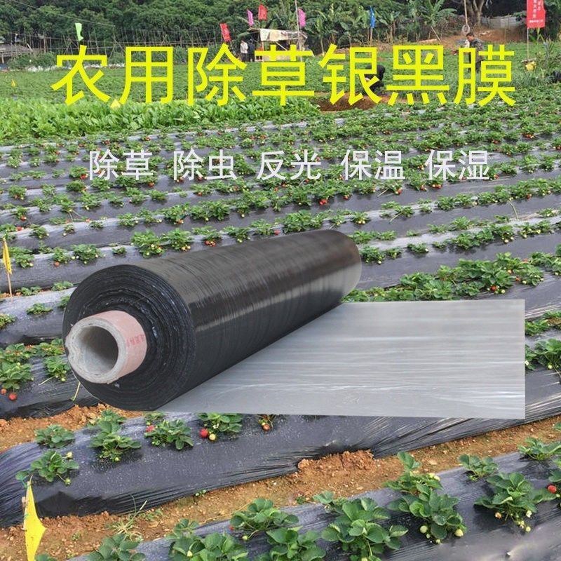 黑地膜农用黑膜白膜果园除草膜保温保湿蔬菜塑料薄膜种植加厚