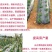 黑地膜农用黑膜白膜果园除草膜保温保湿蔬菜塑料薄膜种植加厚