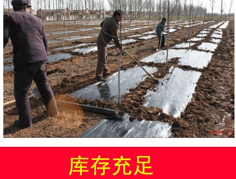 黑地膜农用黑膜白膜果园除草膜保温保湿蔬菜塑料薄膜种植加厚