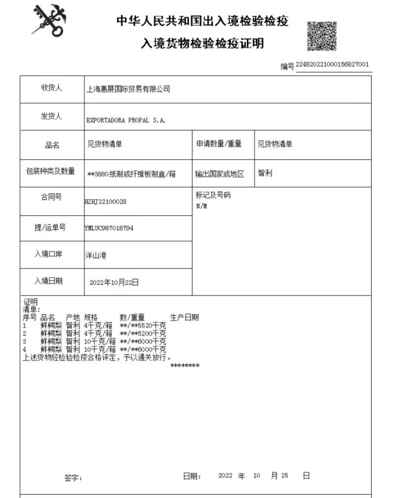 进口牛油果P牌智利牛油果26-28头框装