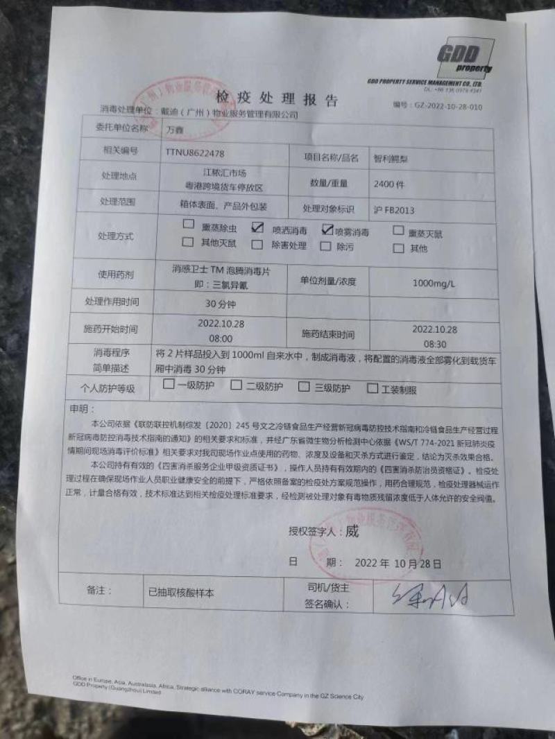 进口牛油果P牌智利牛油果26-28头框装