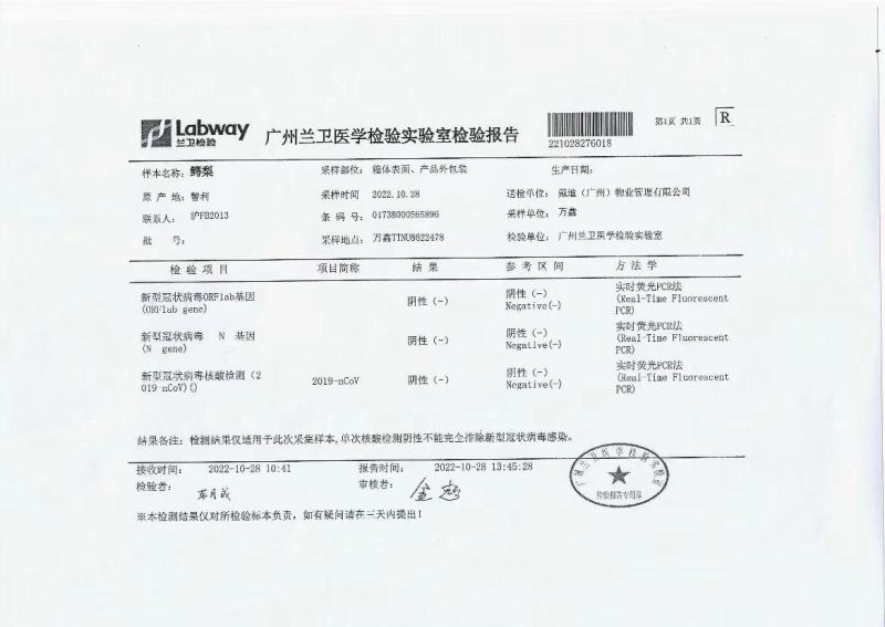进口牛油果P牌智利牛油果26-28头框装