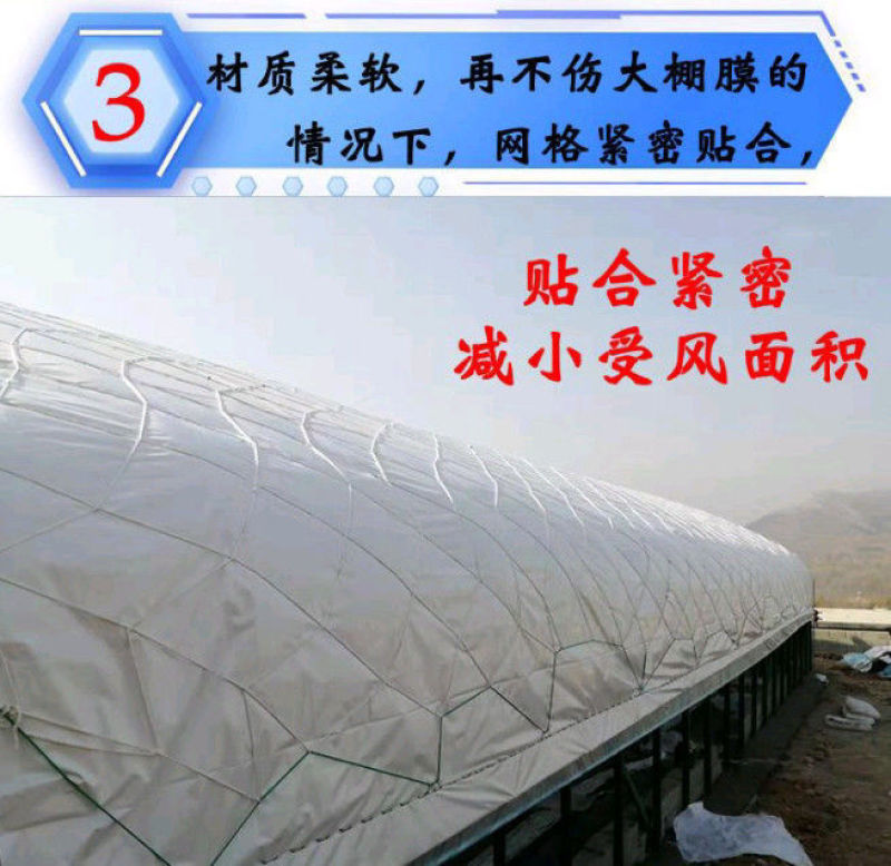 大棚防风网防护网尼龙网货物种植养殖网大孔压膜绳网挡风网