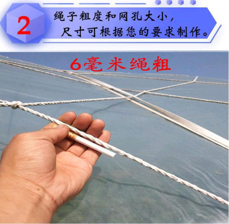 大棚防风网防护网尼龙网货物种植养殖网大孔压膜绳网挡风网