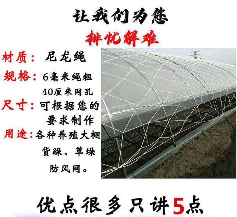 大棚防风网防护网尼龙网货物种植养殖网大孔压膜绳网挡风网