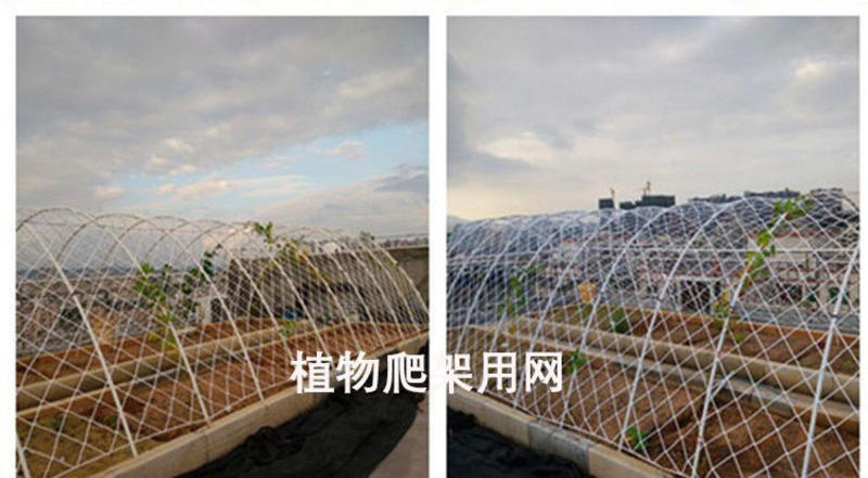 大棚防风网防护网尼龙网货物种植养殖网大孔压膜绳网挡风网