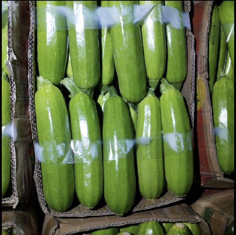 西葫芦在菜市场中新鲜陈列