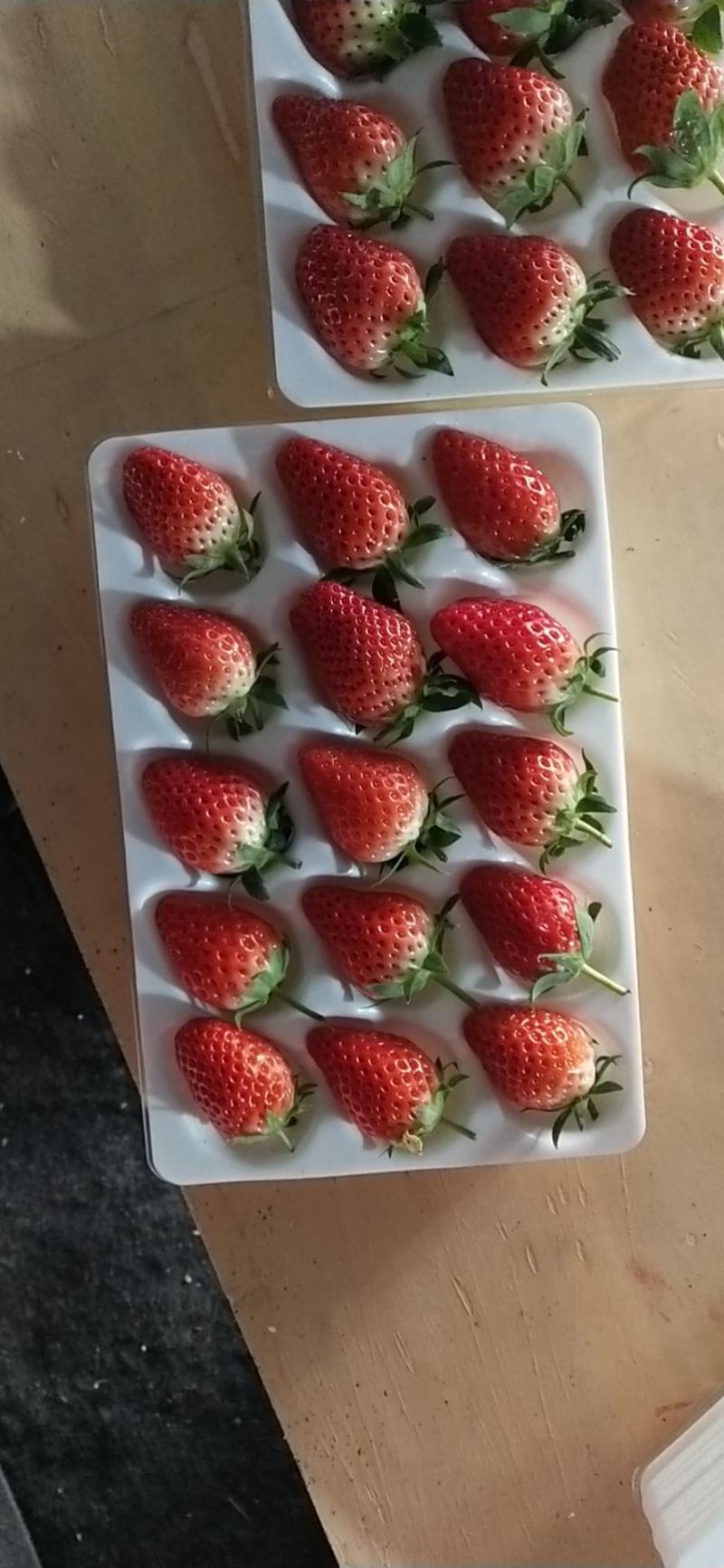 甜宝草莓大量上市，口感香甜，果型漂亮，货量有保证，