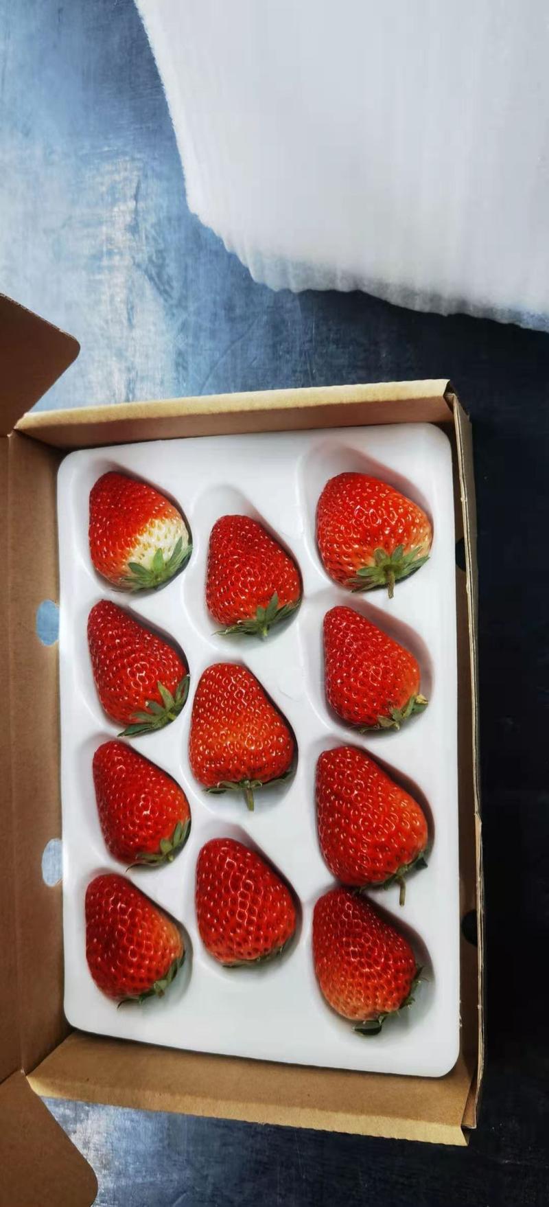 甜宝草莓大量上市，口感香甜，果型漂亮，货量有保证，