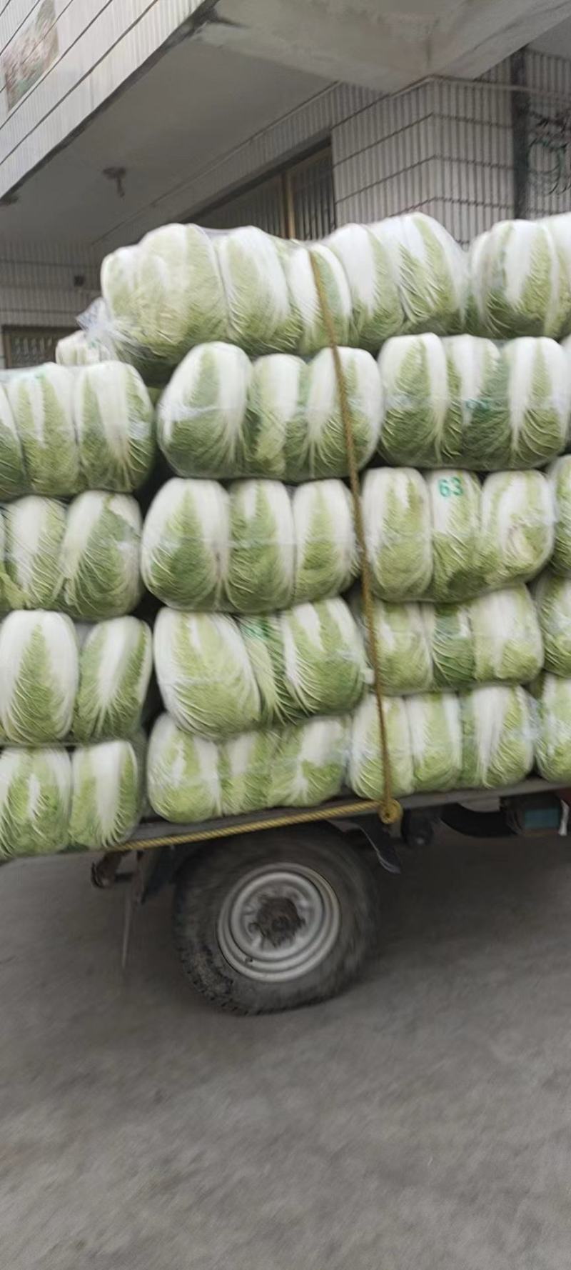 黄心白菜，江苏黄心大白菜，产地一手货源，对接大型批发商
