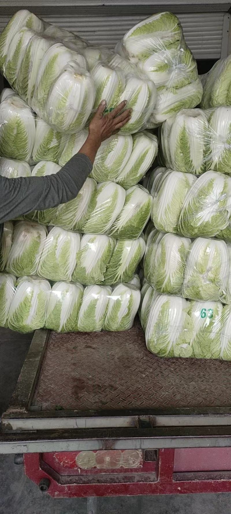 黄心白菜，江苏黄心大白菜，产地一手货源，对接大型批发商