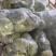 圆包菜，江苏圆包菜，产地发货，质量保证，欢迎来电咨询