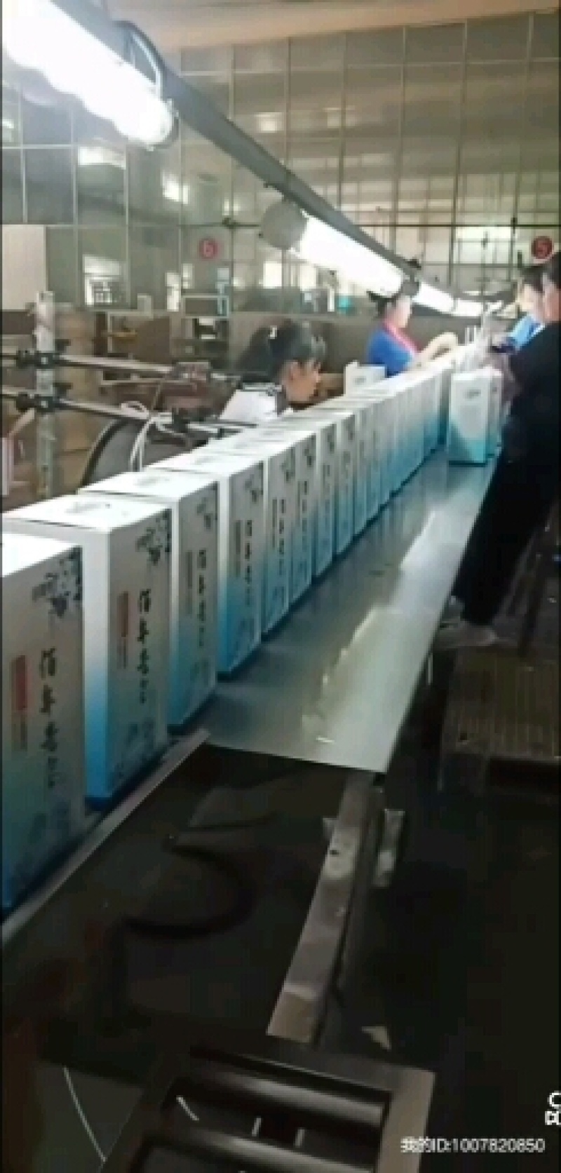 河北衡水原产地实发衡水老白干