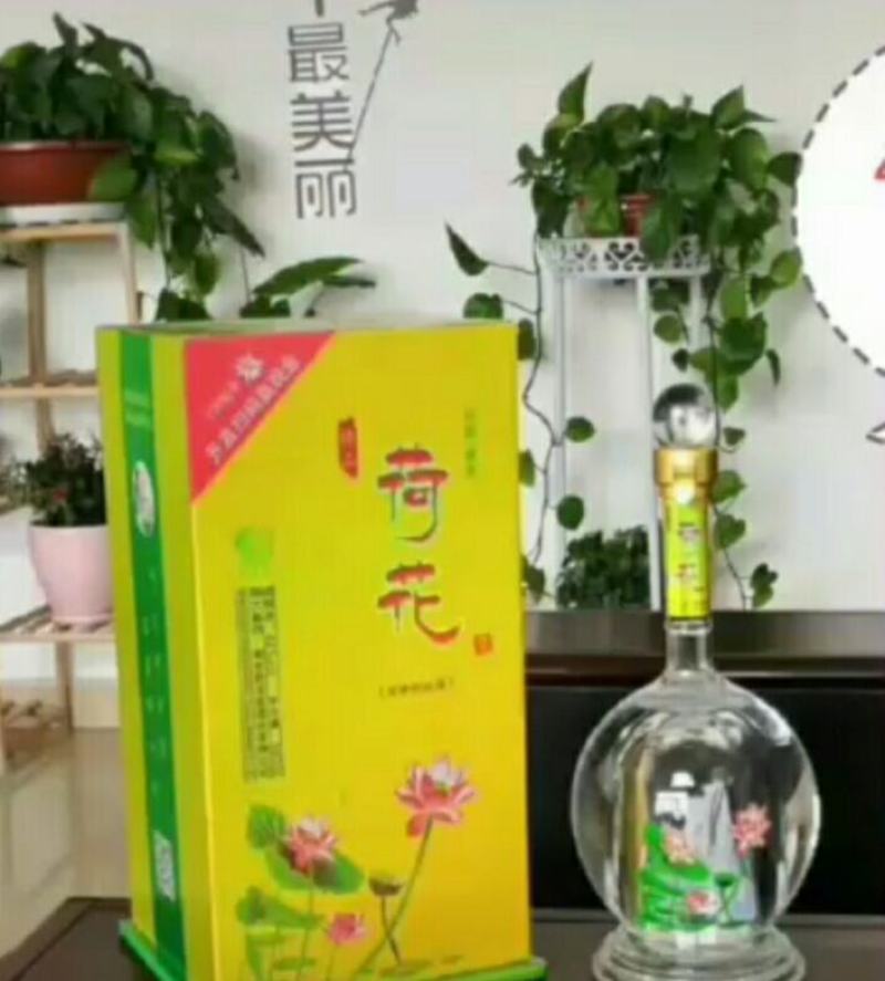 河北衡水原产地实发衡水老白干