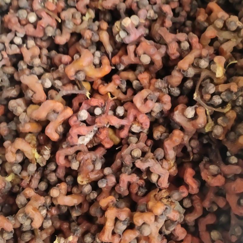 万寿果拐枣味道香甜可口泡酒泡水煲汤生吃都可以