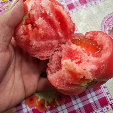 西红柿，精品硬粉西红柿，产地货源，品质保证，欢迎下单采购