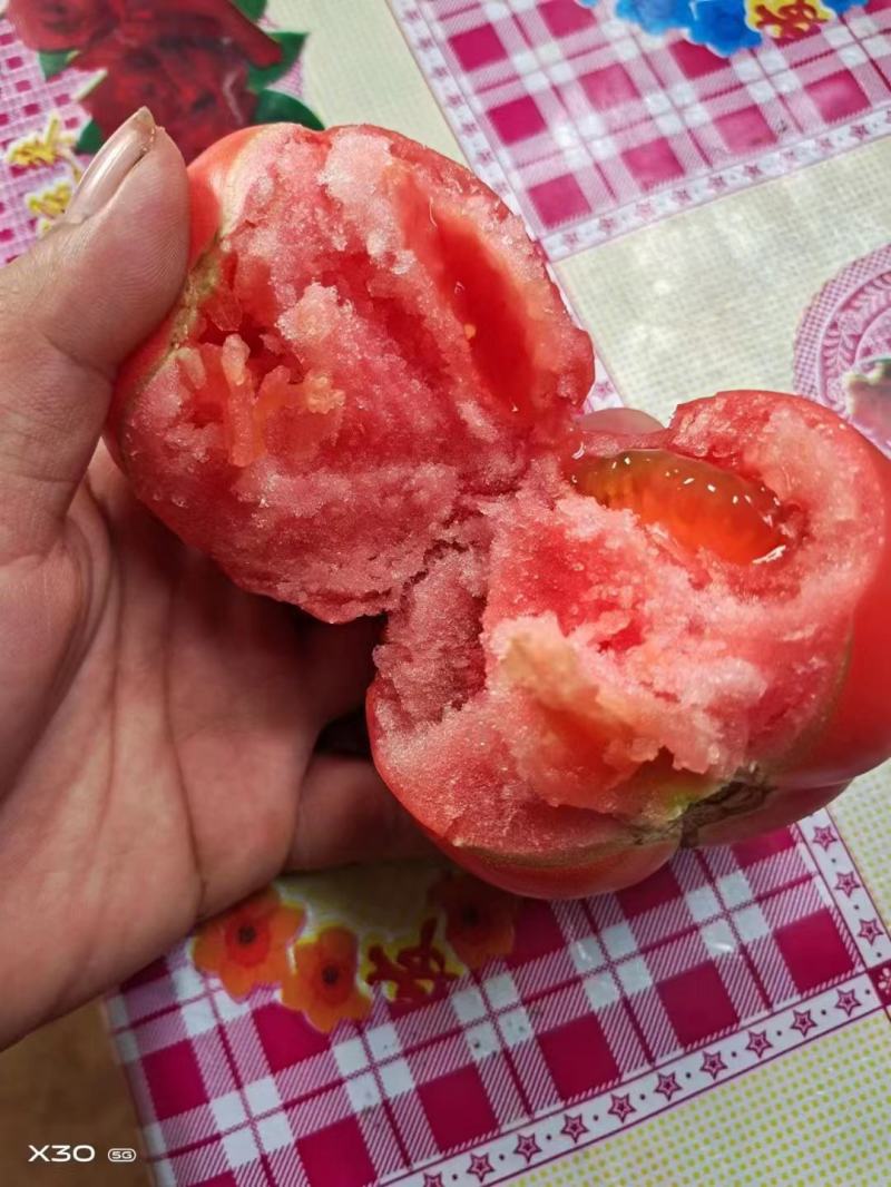 西红柿，精品硬粉西红柿，产地货源，品质保证，欢迎下单采购