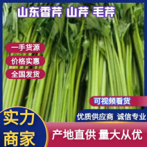 芹菜山东山芹货源充足大量供应对接市场商超电商直供