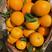 【优质货源】湖北橙子秭归脐橙产地直发对接电商社区团购欢迎