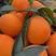 【优质货源】湖北橙子秭归脐橙产地直发对接电商社区团购欢迎