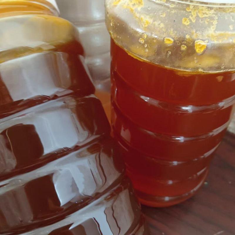 正宗福建原生态野蜂蜜原产地直发保真保纯无任何添加剂