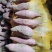 正宗烟薯25